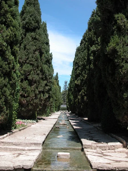 Uitzicht Brug Het Park — Stockfoto