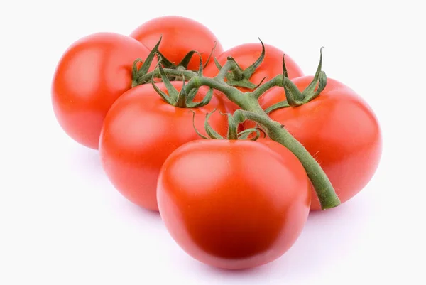 Fresh Red Ripe Tomatoes — Stock Photo, Image