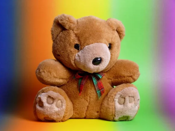 Teddy Bear Teddy Bear — Stock Photo, Image