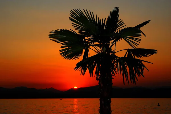 Evening Lake Garda Stock Picture