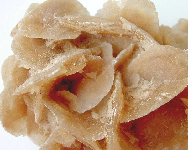 a sand rose is a bizarre crystal structure,which usually consists of sand grains that are embedded in a crystal of gypsum or barite.