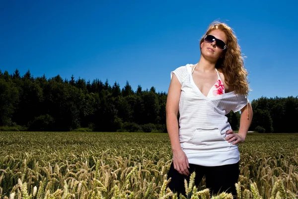 Blick Auf Maisfeld Landwirtschaftliches Konzept — Stockfoto