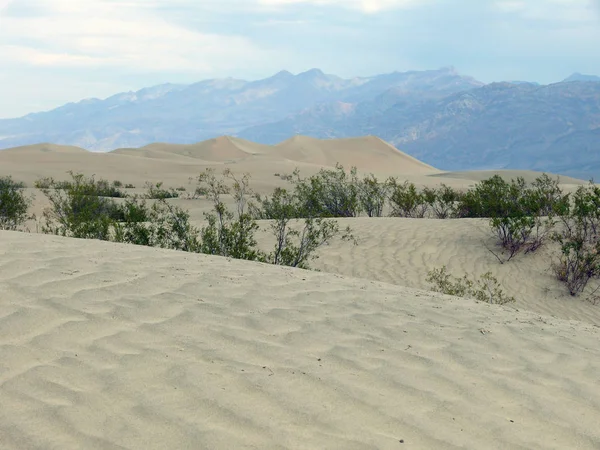 砂丘の景観選択的焦点 — ストック写真