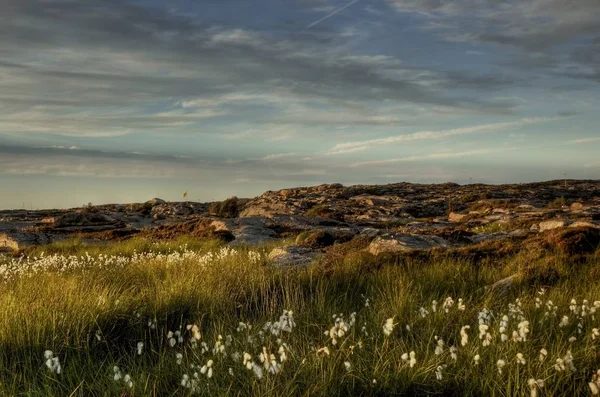 Arcipelago Nella Luce Della Sera — Foto Stock