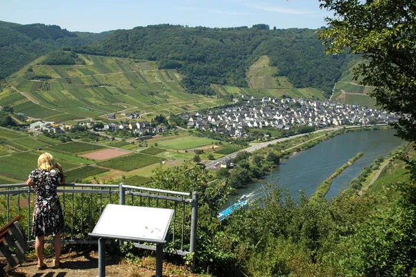 Landsliv Selektivt Fokus — Stockfoto