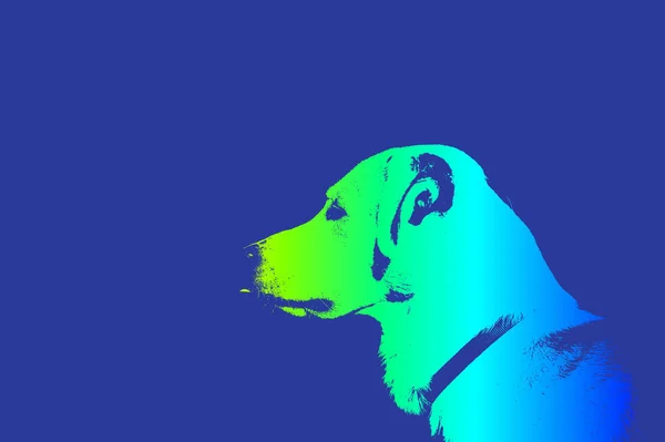 Abstract Beeld Van Een Hond — Stockfoto