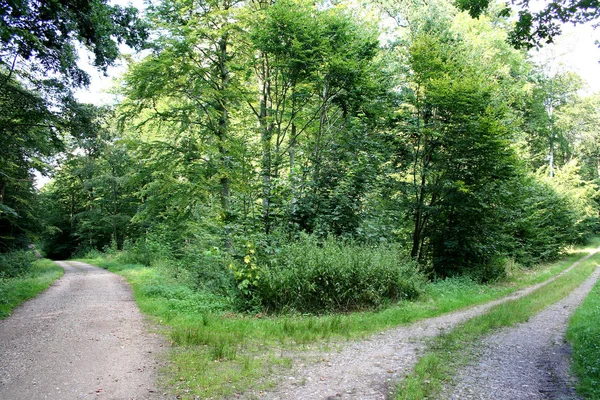 Piękny Widok Przyrodę — Zdjęcie stockowe