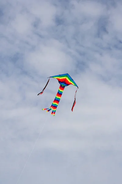 Papagaio Voando Céu — Fotografia de Stock