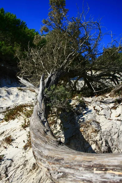 Schöne Aussicht Auf Tropischen Strand — Stockfoto