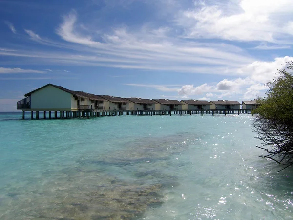 Preso Sull Isola Spiaggia Reethi Atollo Baa Maldive — Foto Stock