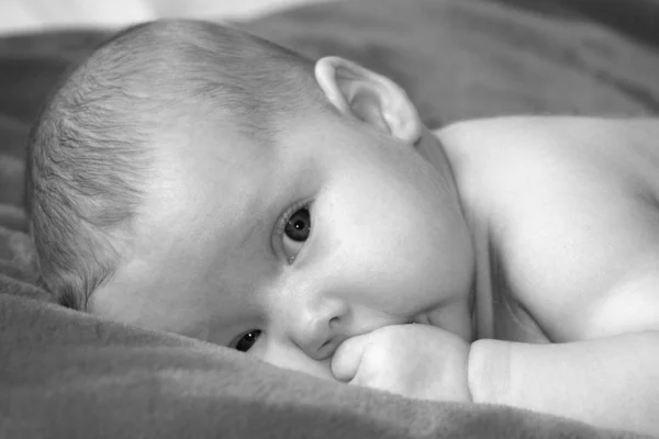 Close Portret Van Schattige Baby — Stockfoto