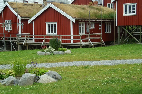 Lofoten Doğa Manzarası Üzerine — Stok fotoğraf