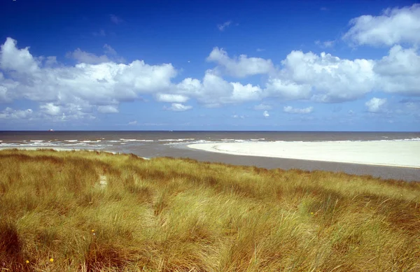 Slufter Texel — Foto Stock