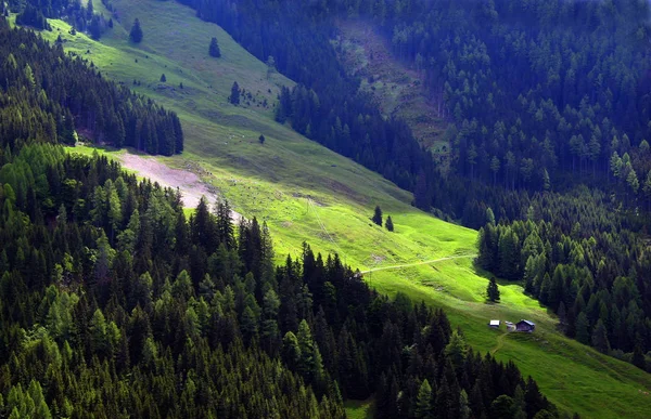 Pradera Montaña Luz — Foto de Stock