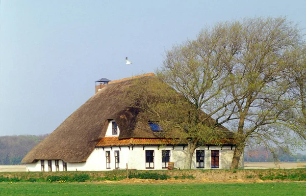 Casa Holandesa Típica Texel — Fotografia de Stock