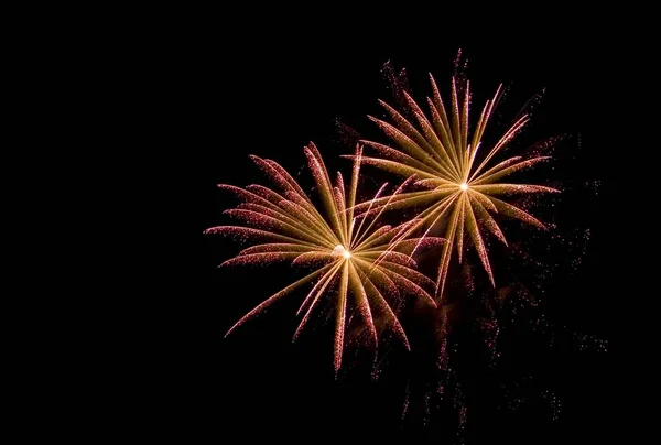 Fuegos Artificiales Explosión Cielo Nocturno Celebración — Foto de Stock