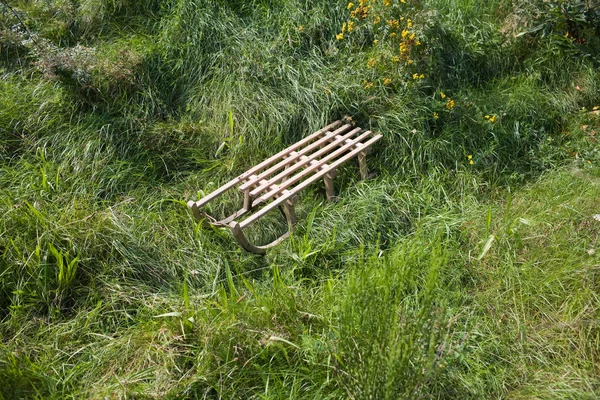 Yeşil Çimlerde Kızak — Stok fotoğraf
