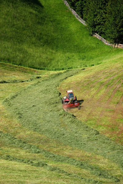 Haymaking Nos Alpes — Fotografia de Stock