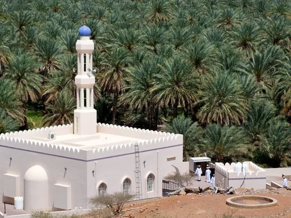 Vista Panorámica Hermosa Arquitectura Mezquita — Foto de Stock