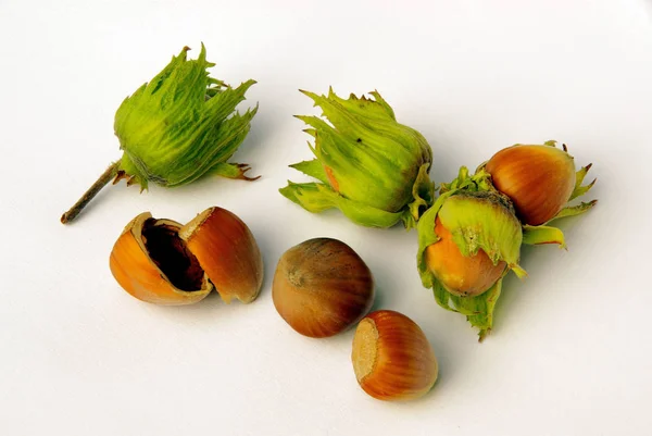 Castañas Bellotas Sobre Fondo Blanco — Foto de Stock