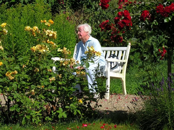 Grand Mère Sur Banc Dans Roseraie — Photo