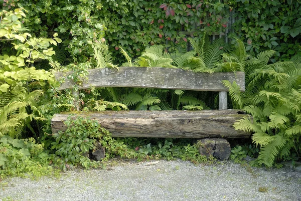 Holzbank Auf Einer Hecke — Stockfoto