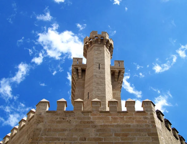 Detta Torn Del Välbevarad Stadsmur Palma Mallorca Historiska Centrum — Stockfoto