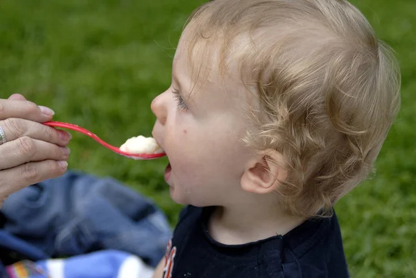 Schilderachtig Uitzicht Van Schattig Peuter Kind — Stockfoto