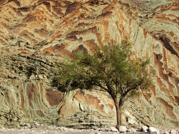 Oman Wadi Bani Khalid — Stock Photo, Image