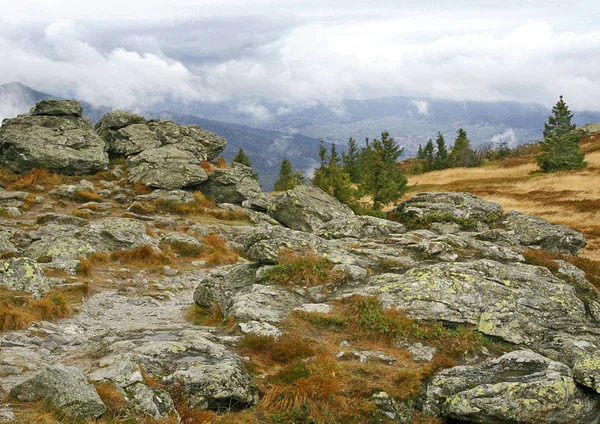 Baviera Com Área Terra Composta Por Cerca Quinto Área Total — Fotografia de Stock