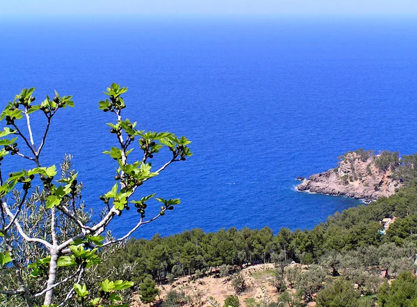 Mallorca Majorca One Spain Balearic Islands Mediterranean — Stock Photo, Image