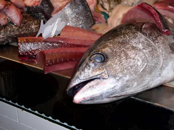 Frutti Mare Mercato Del Pesce — Foto Stock