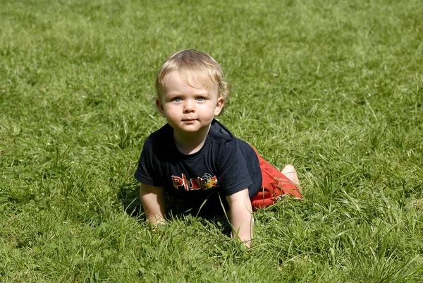Child Crawls Meadow Stock Picture