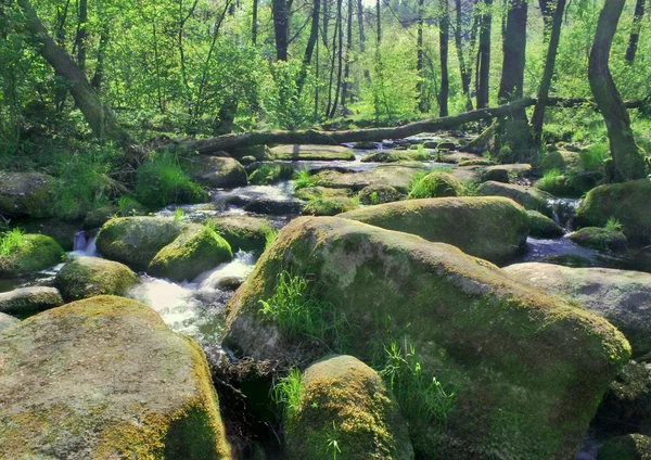 Hermosa Vista Naturaleza Escena — Foto de Stock