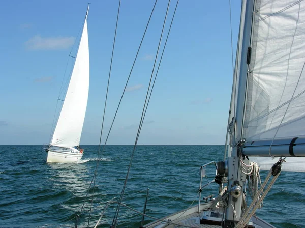 Zeilen Baltische Zee — Stockfoto