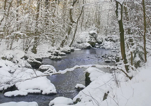 Bela Paisagem Inverno Nevado — Fotografia de Stock