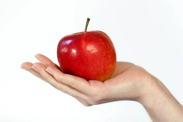 Vegetarisk Mat Selektivt Fokus — Stockfoto