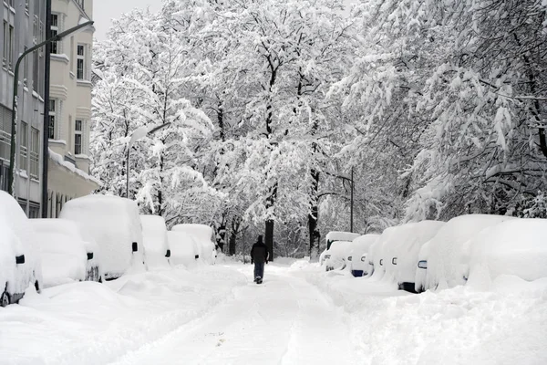 Prachtig Uitzicht Het Winterlandschap — Stockfoto