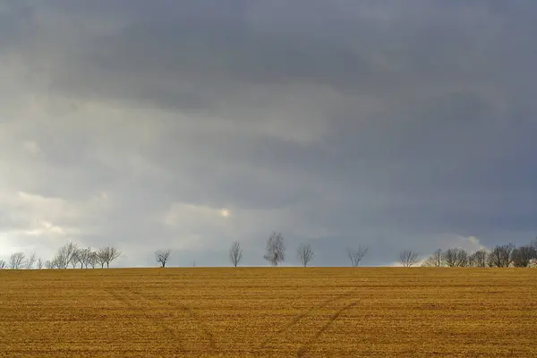 Herbstliche Atmosphäre Selektiver Fokus — Stockfoto