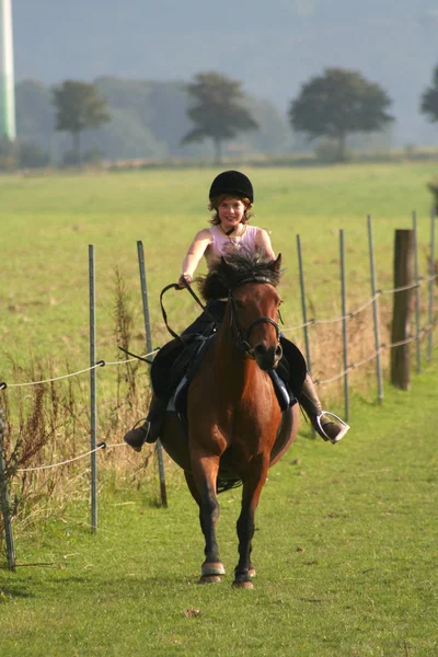 Junge Frau Reitet Auf Einem Pferd Einem Feld — Stockfoto