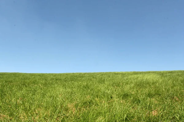 Malerischer Blick Auf Die Landschaft Selektiver Fokus — Stockfoto