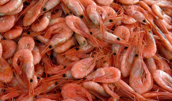 Camarões Vermelhos Comida Mar — Fotografia de Stock