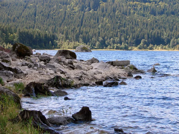 Břeh Jezera Schluchsee Černém Lese Bude Navždy Opuštěný Nyní Podzim — Stock fotografie