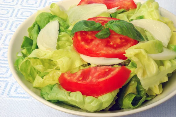 Domates Kafa Salatası — Stok fotoğraf