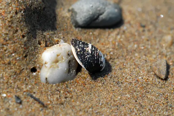 Piedras Rocas Guijarros — Foto de Stock