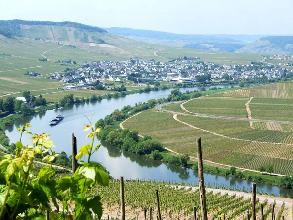 Moseldal Leiwen Och Trittenheim Panorama — Stockfoto