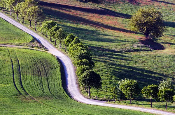 Bella Vista Sulla Natura — Foto Stock