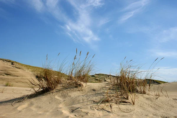 Vista Panoramica Delle Dune Focus Selettivo — Foto Stock