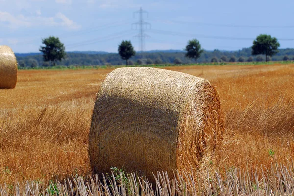 Vista Panoramica Sulla Campagna Attenzione Selettiva — Foto Stock