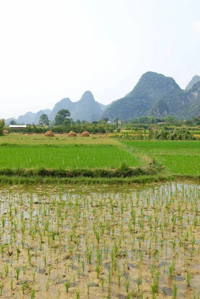 China Offiziell Republik China Ist Ein Land Ostasien — Stockfoto